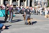 ARRESTATION POLICE 033